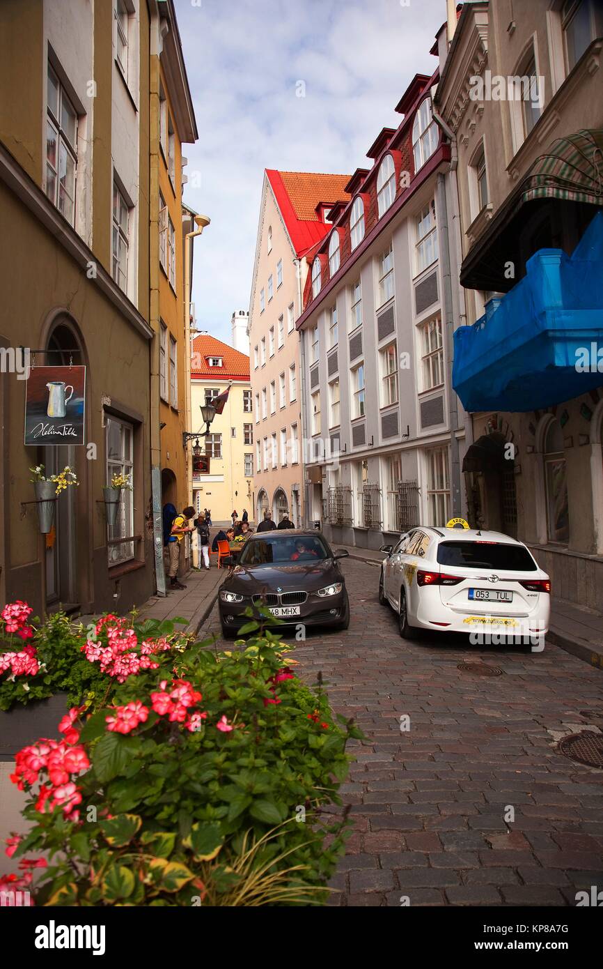 Tallinn: a journey through the old pavements of the European capital Tallinn: a journey through the old pavements of the European capital