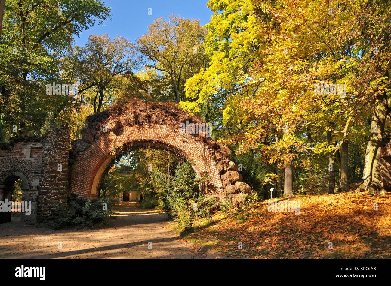 How to Set up an English Garden images How to Set up an English Garden pictures