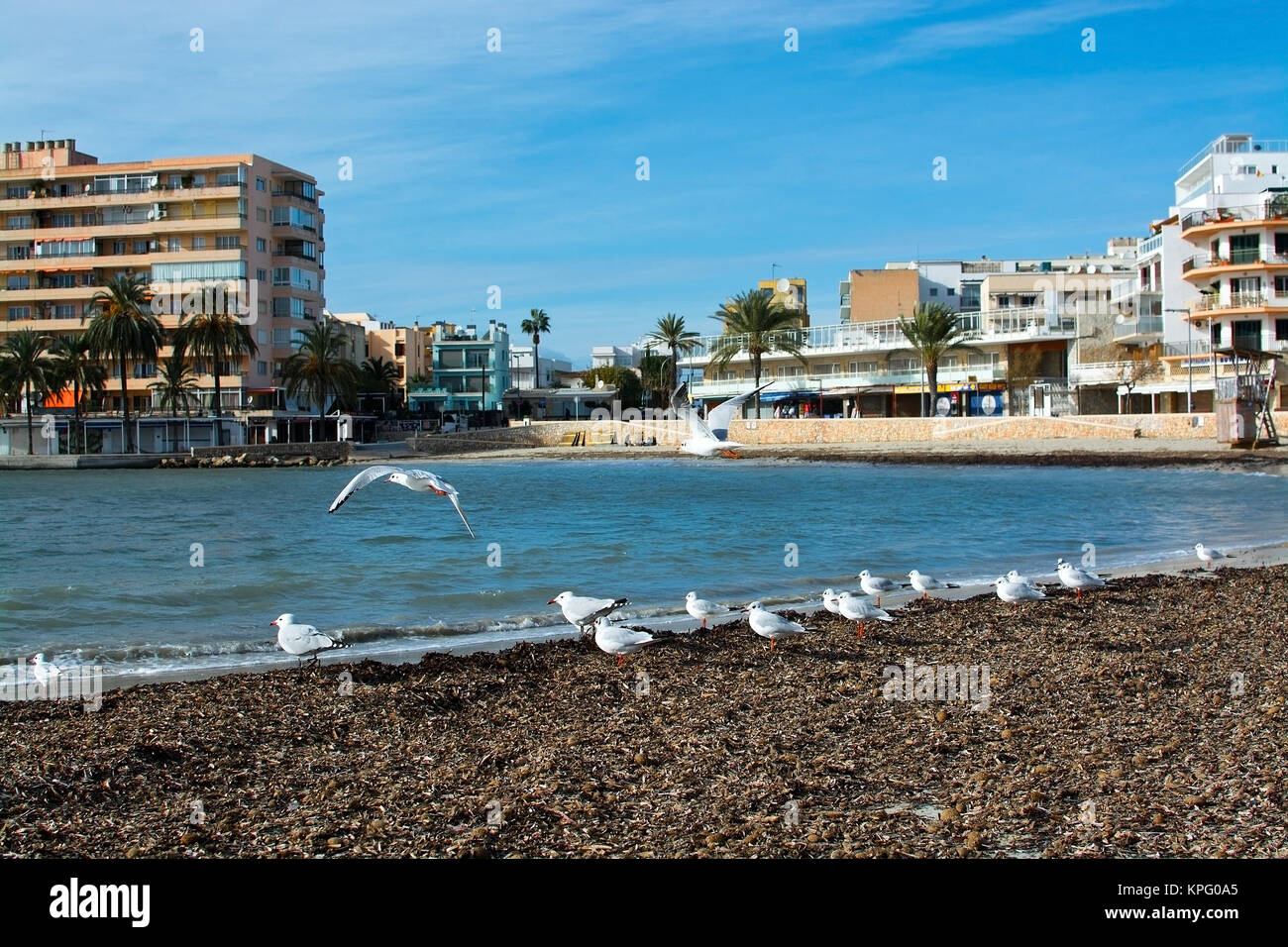 Mallorca: reviews of tourists about the rest. Hotels and beaches of Mallorca, attractions, excursions 1 Mallorca: reviews of tourists about the rest. Hotels and beaches of Mallorca, attractions, excursions 3