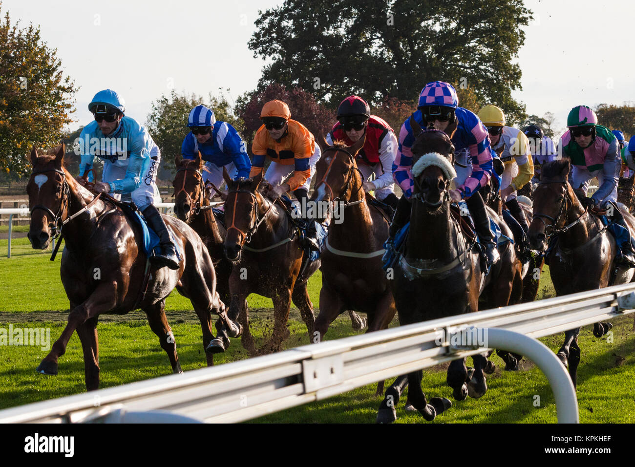 Horses Galloping From The Start At York Races End Of 2017 Season