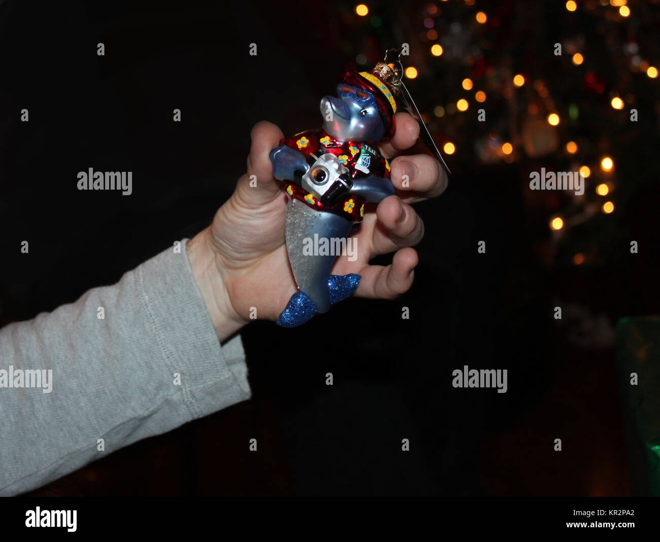 Hand Holds Christmas Tree Ornament Of Dophin With Camera In Front Bokeh Hand Holds Christmas Tree Ornament Of Dophin With Camera In Front Bokeh
