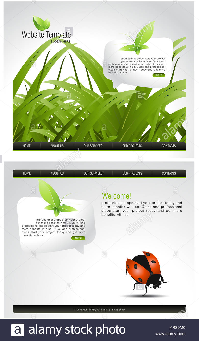 edit flash website template Editing flash web templates.