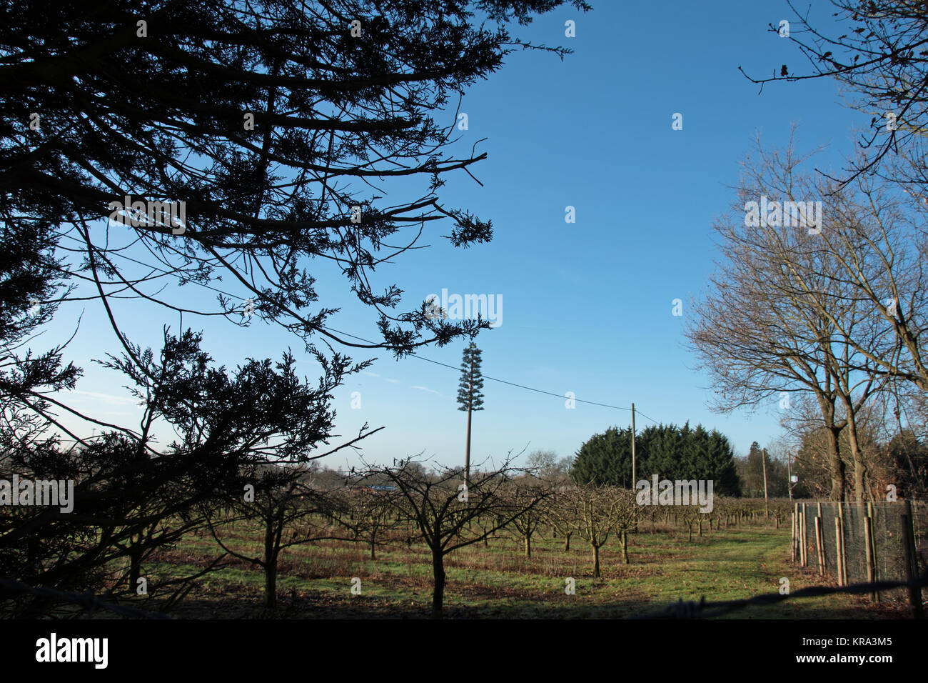 Ofcom Sitefinder is a mobile phone mast locator orange mobile phone masts uk
