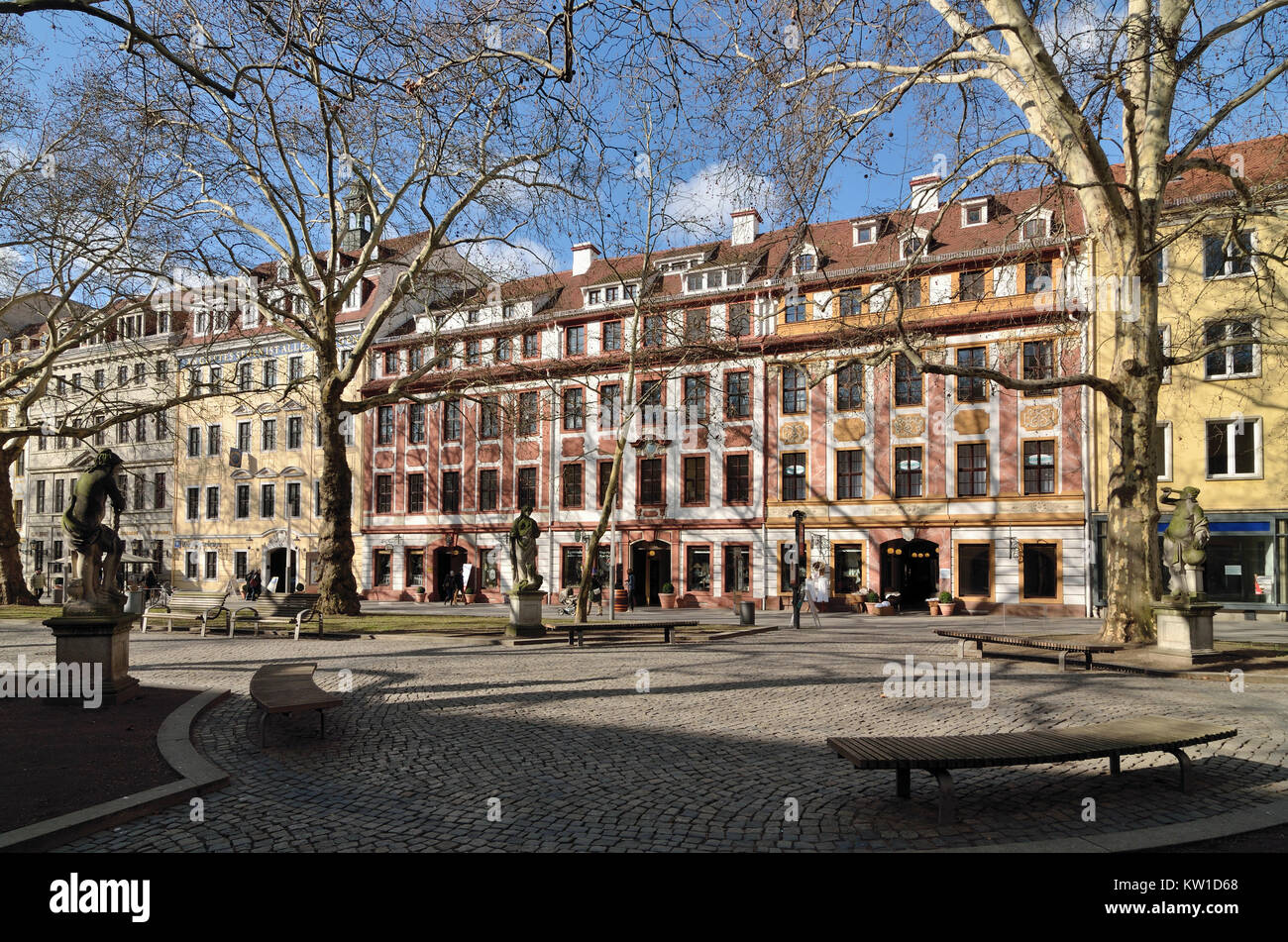Single wohnung dresden neustadt
