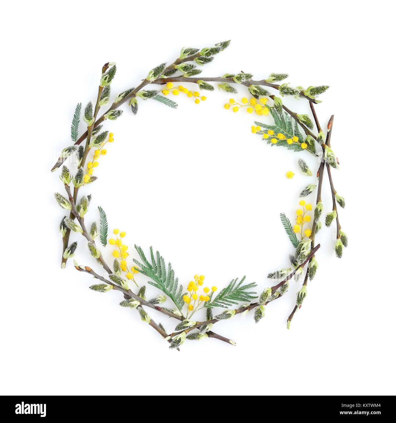 Pussy Willow Branches With Mimosa Circle Frame Decorative Wreath On