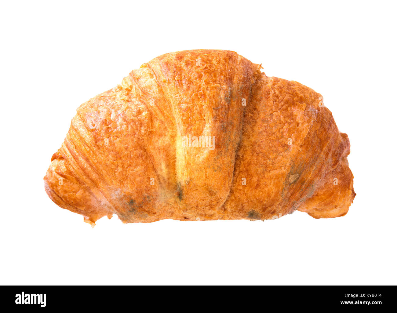 Moldy Croissant On A White Background Moldy Croissant On A White Background