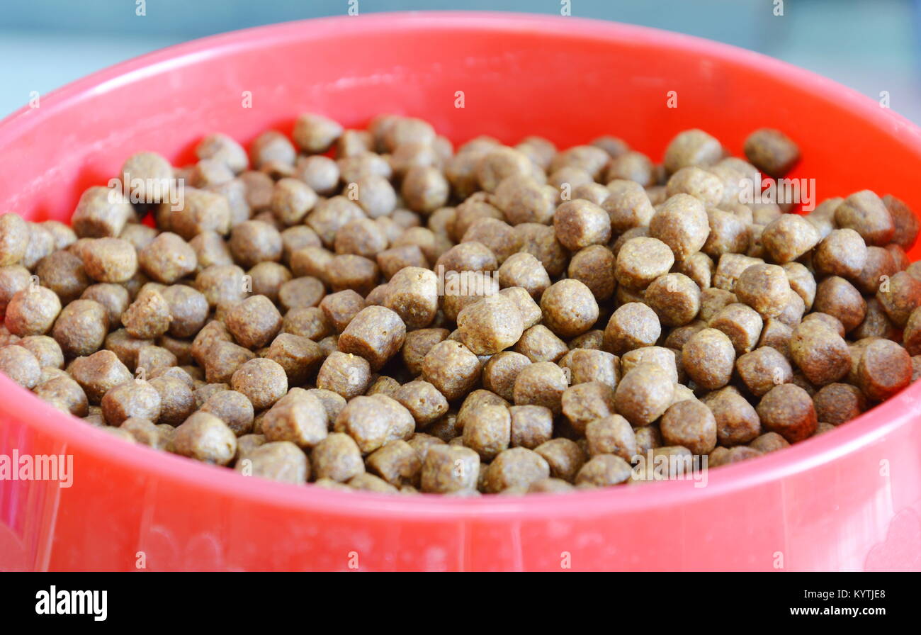 Raw Dog Food For Sale Philippines Raw Dog Food For Sale Philippines