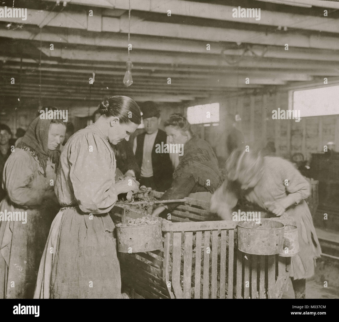 Eight Year Old Lizzie Earns 30 Cents A Day Shucking Oysters In The Dunbar Cannery Eight Year Old Lizzie Earns 30 Cents A Day Shucking Oysters In The Dunbar Cannery