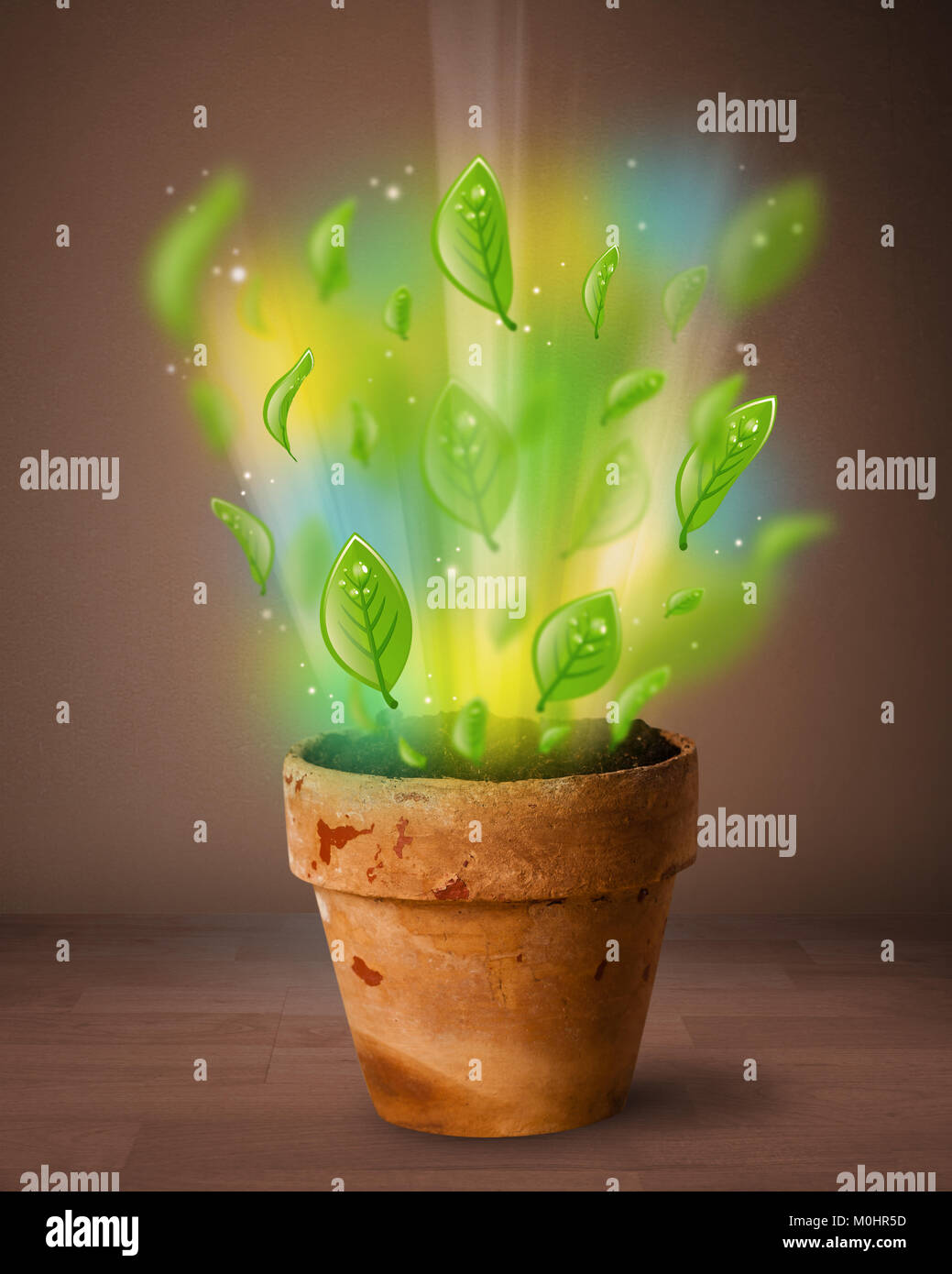 Glowing Green Leaves Coming Out Of Flowerpot Stock Photo Alamy