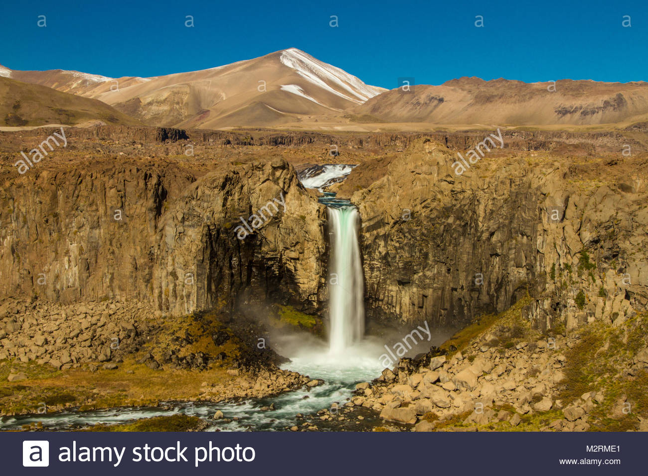 integument stock photos integument stock images alamy maule stock photos maule stock images alamy integument stock photos integument stock images alamy maule stock photos maule stock images alamy
