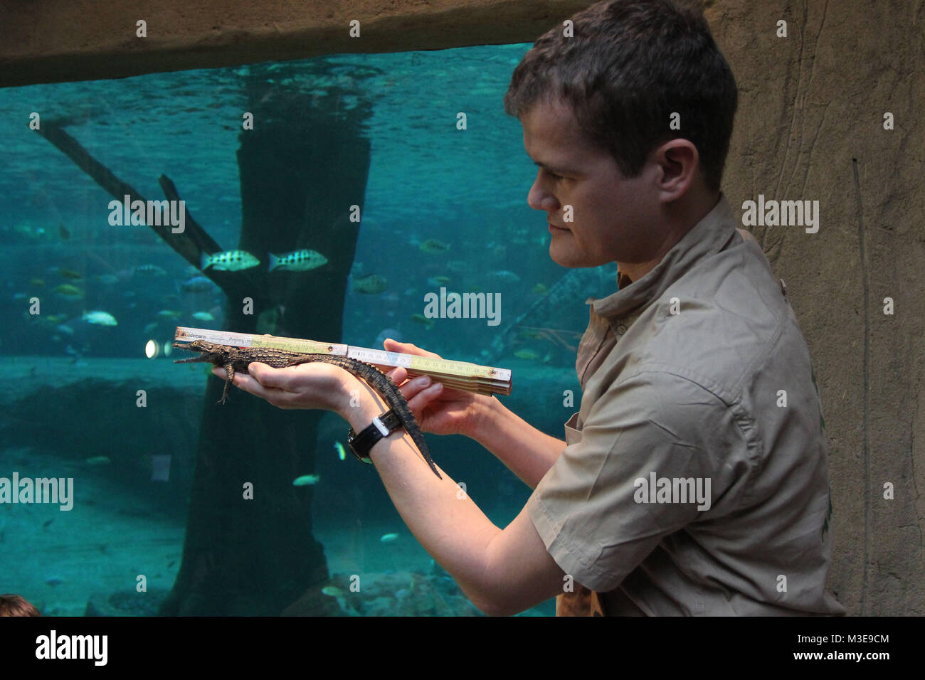 Tier Inventur Im Tropen Aquarium Tierpark Hagenbeck Hamburg