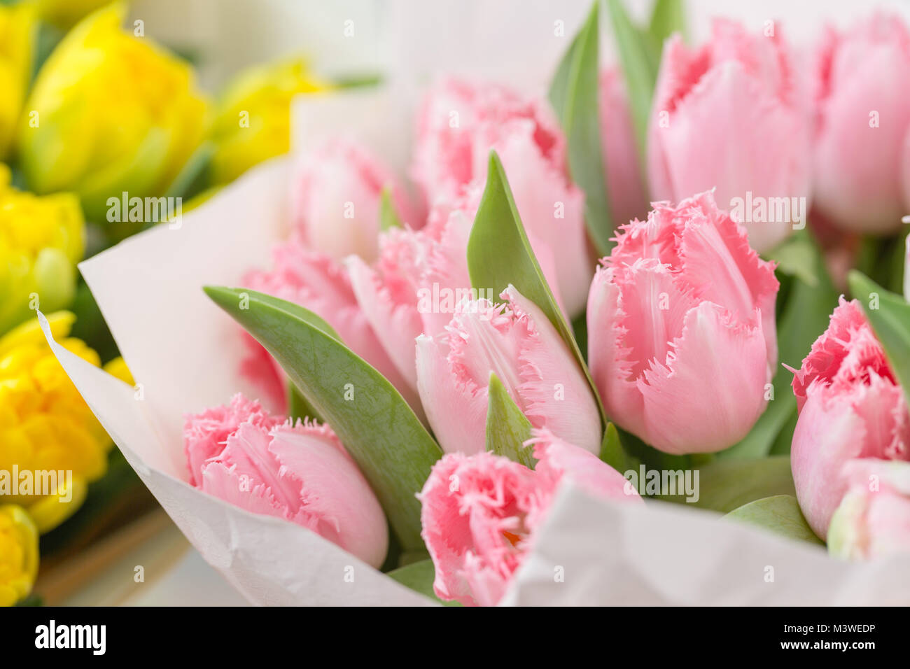 Spring Flowers In The Colors Suggested By Pantone picture pics Spring Flowers In The Colors Suggested By Pantone