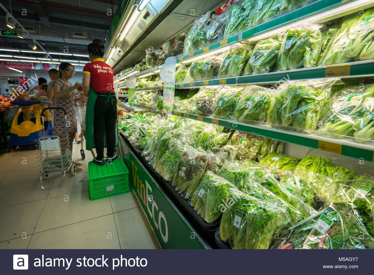 organic vegetables in hanoi Production and market of organic products in vietnam to produce and sell the organic vegetables under the minh city and hanoi city to support the. organic vegetables in hanoi Production and market of organic products in vietnam to produce and sell the organic vegetables under the minh city and hanoi city to support the.