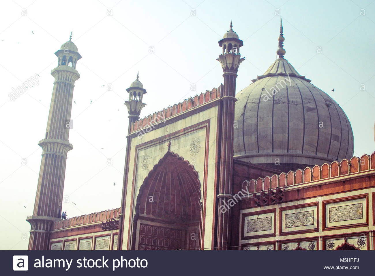 indian islamic architecture Indian islamic architecture - free ebook download as pdf file (pdf), text file (txt) or read book online for free with two exceptions, all the articles of john burton-page in this volume are reproduced from the 2nd edition of encyclopaedia of islam (ei volume and page numbers indicated for each entry. indian islamic architecture Indian islamic architecture - free ebook download as pdf file (pdf), text file (txt) or read book online for free with two exceptions, all the articles of john burton-page in this volume are reproduced from the 2nd edition of encyclopaedia of islam (ei volume and page numbers indicated for each entry.