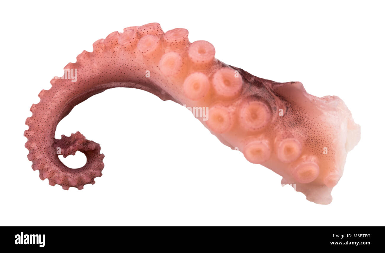 Фаллоимитатор Щупальце Купить