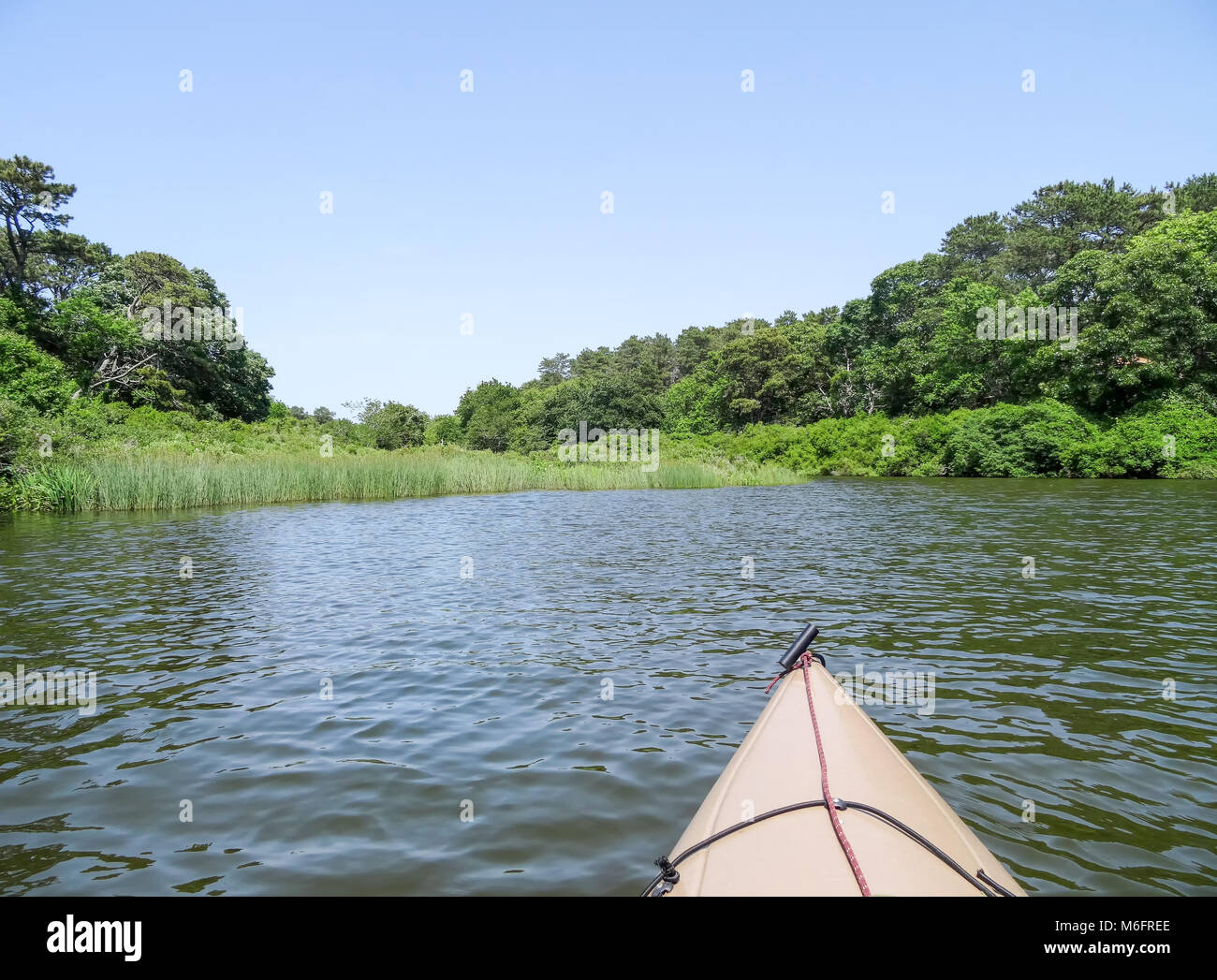 deep bottom pond Ass girls pic