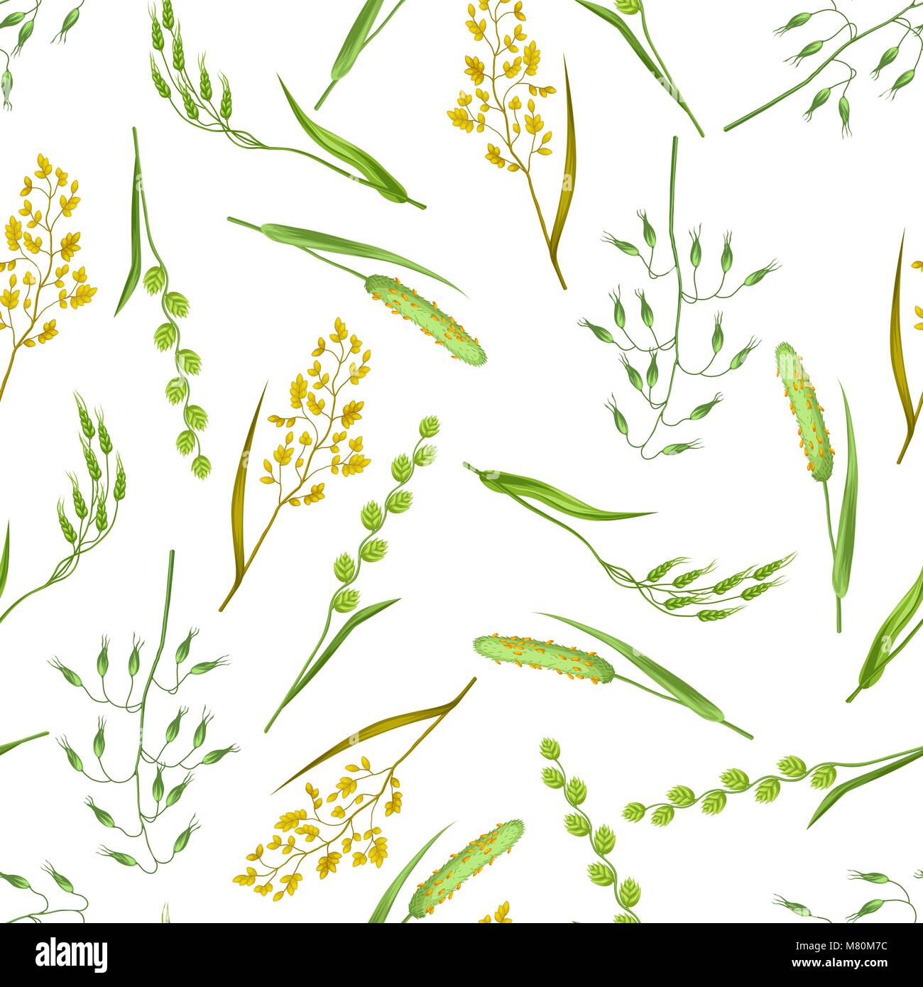 Seamless Pattern With Herbs And Cereal Grass Floral Ornament Of Meadow