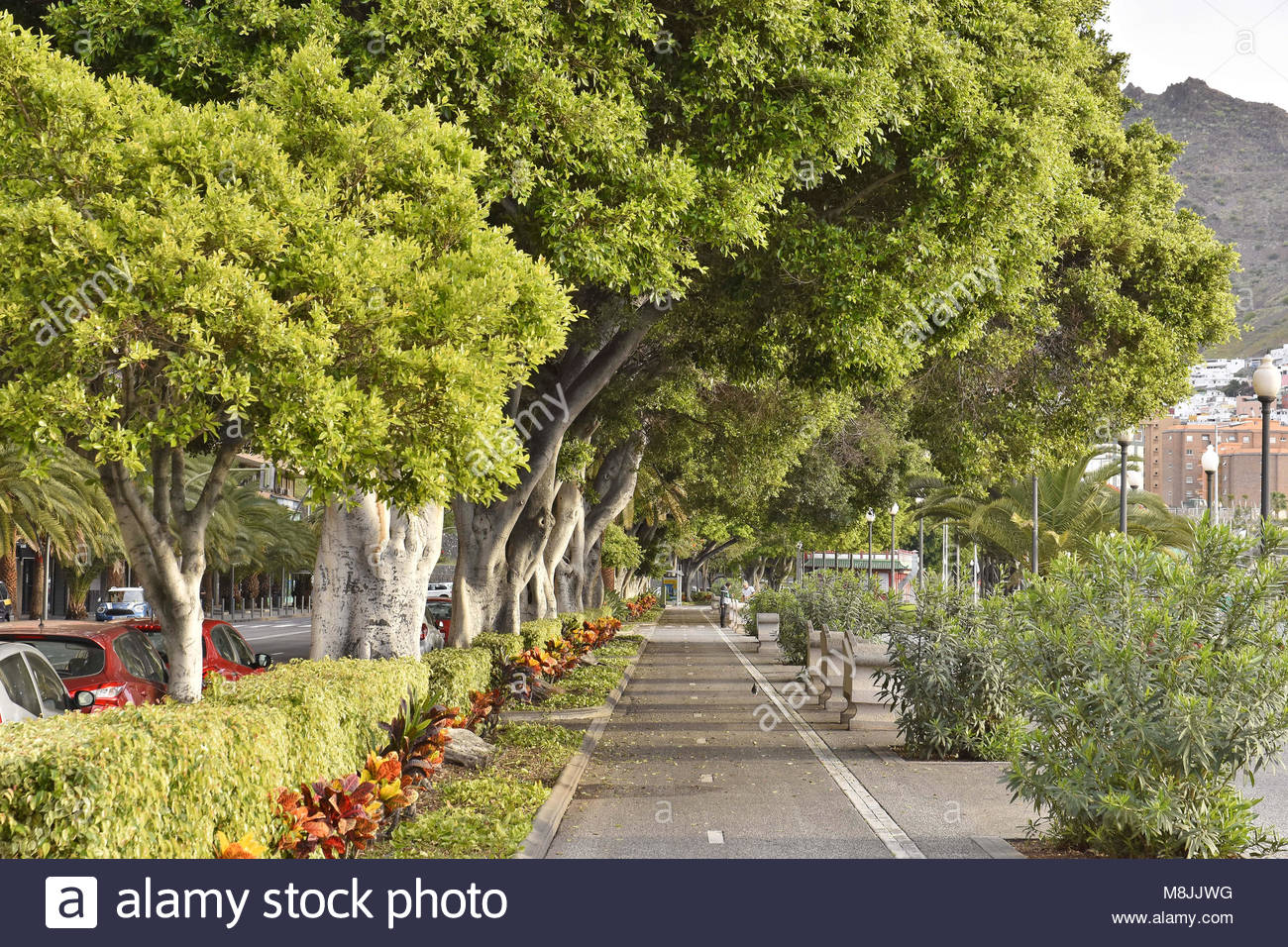 Urban plan Santa Cruz de Tenerife