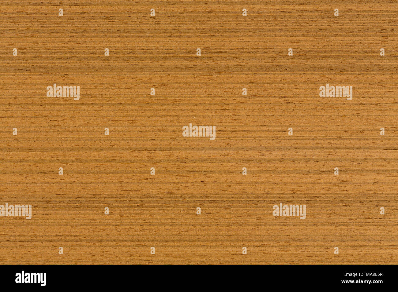 Teak Wood Texture Natural Wooden Backghound Teak Wood Texture Natural Wooden Backghound