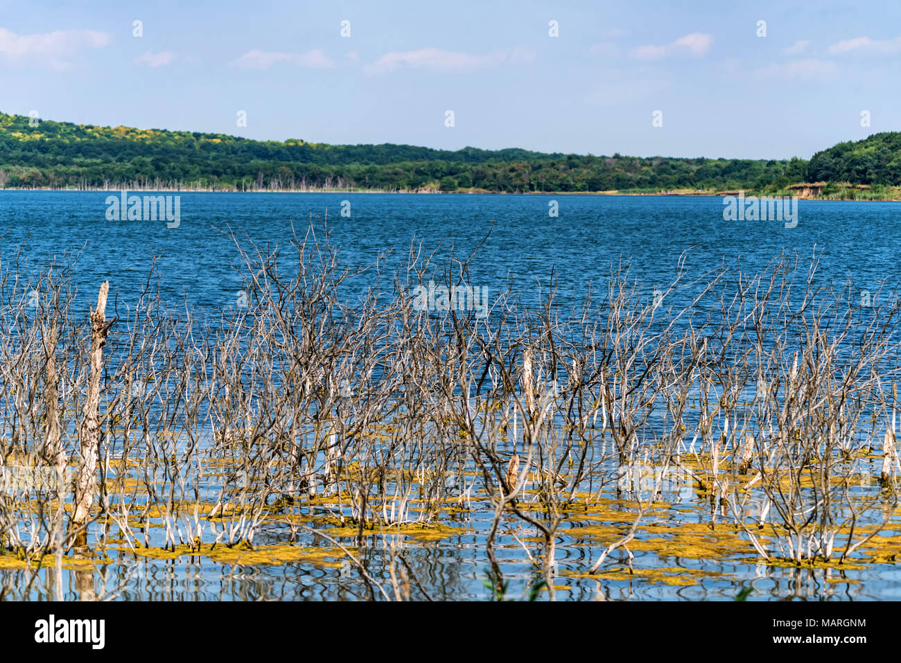 Tambukan Lake: how to get there 4 Tambukan Lake: how to get there 20