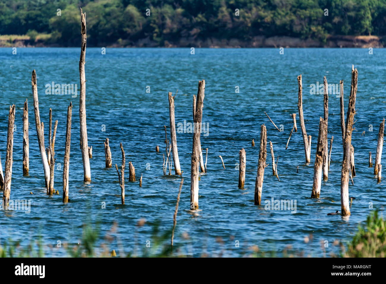 Tambukan Lake: how to get there 34 Tambukan Lake: how to get there 68