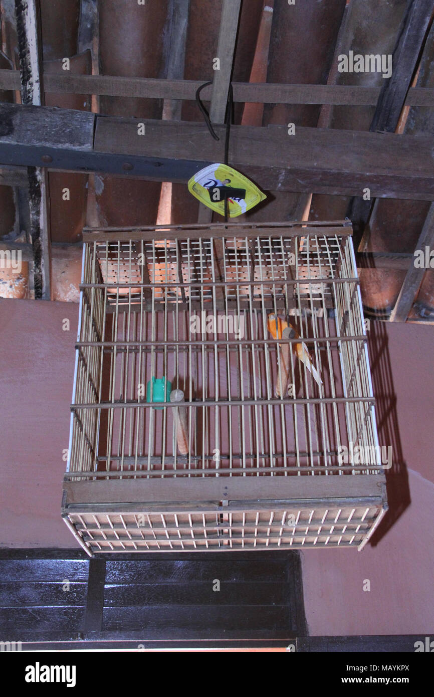 Birdcage Home Interior Paraiba Brazil Stock Photo