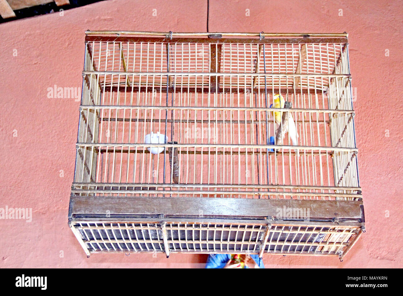 Canary Birdcage Home Interior Paraiba Brazil Stock Photo