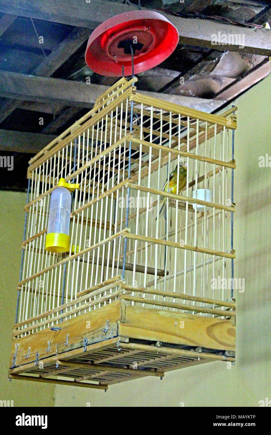 Birdcage Home Interior Paraiba Brazil Stock Photo