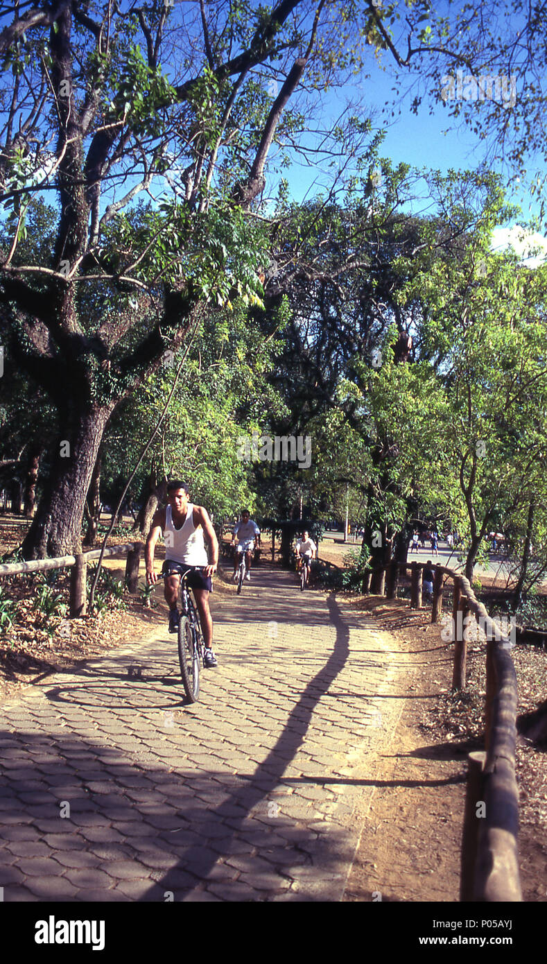 Ciclovia Ibirapuera Park Sao Paulo Brazil Stock Photo Alamy