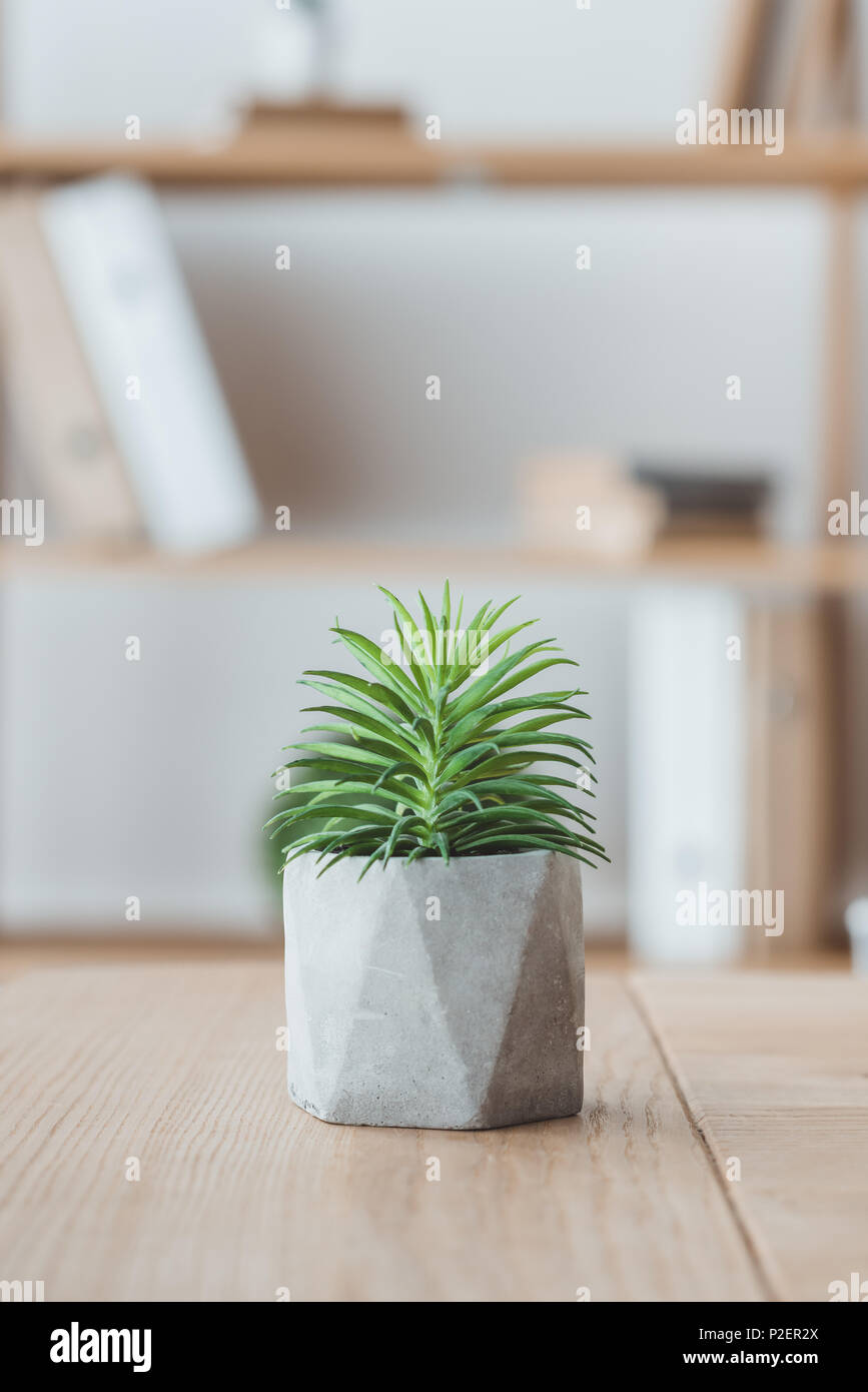 Plant In Concrete Hi Res Stock Photography And Images Alamy