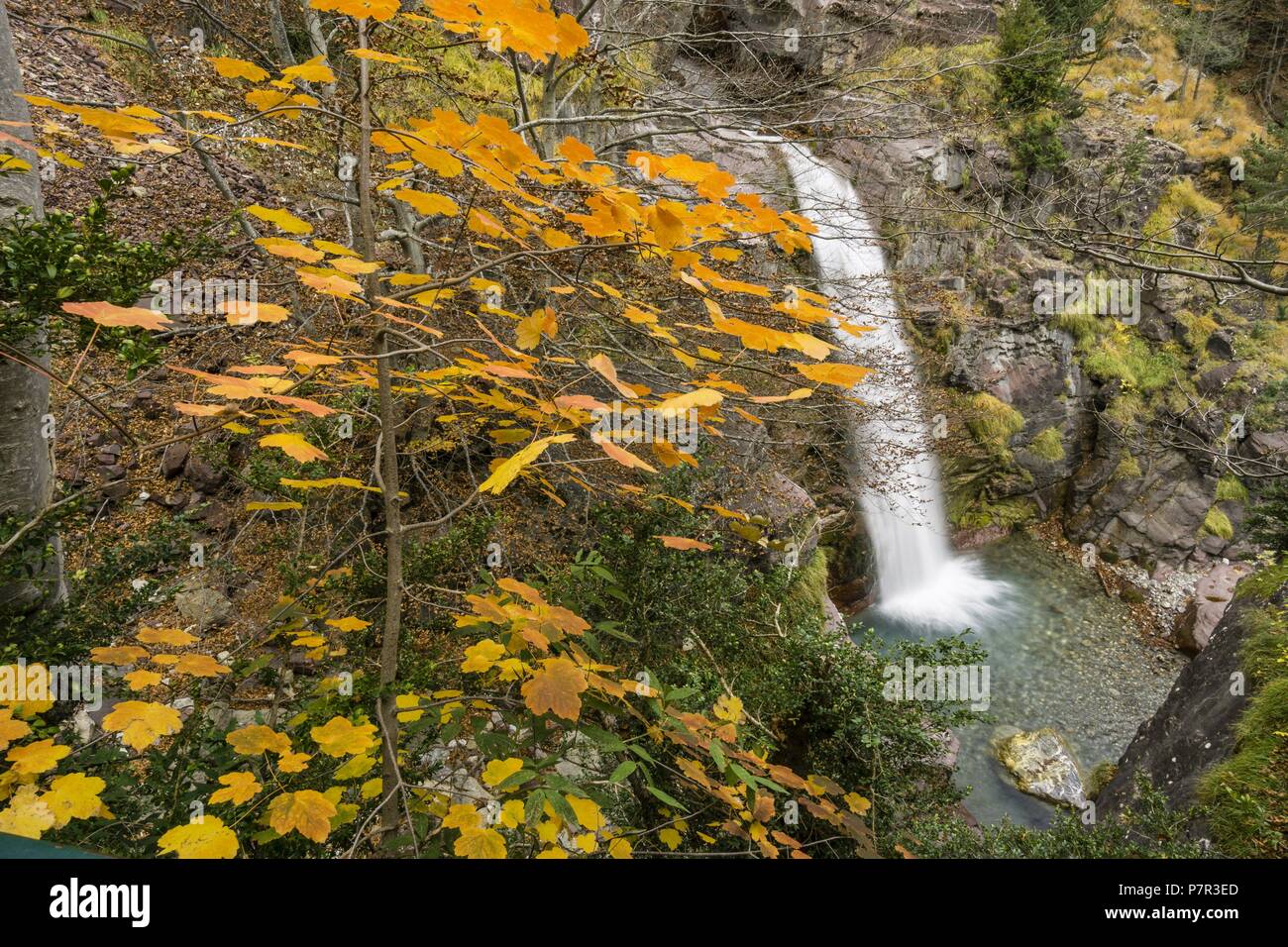 Cascada En El Rio Cinca Valle De Pineta Parque Nacional De Ordesa Y