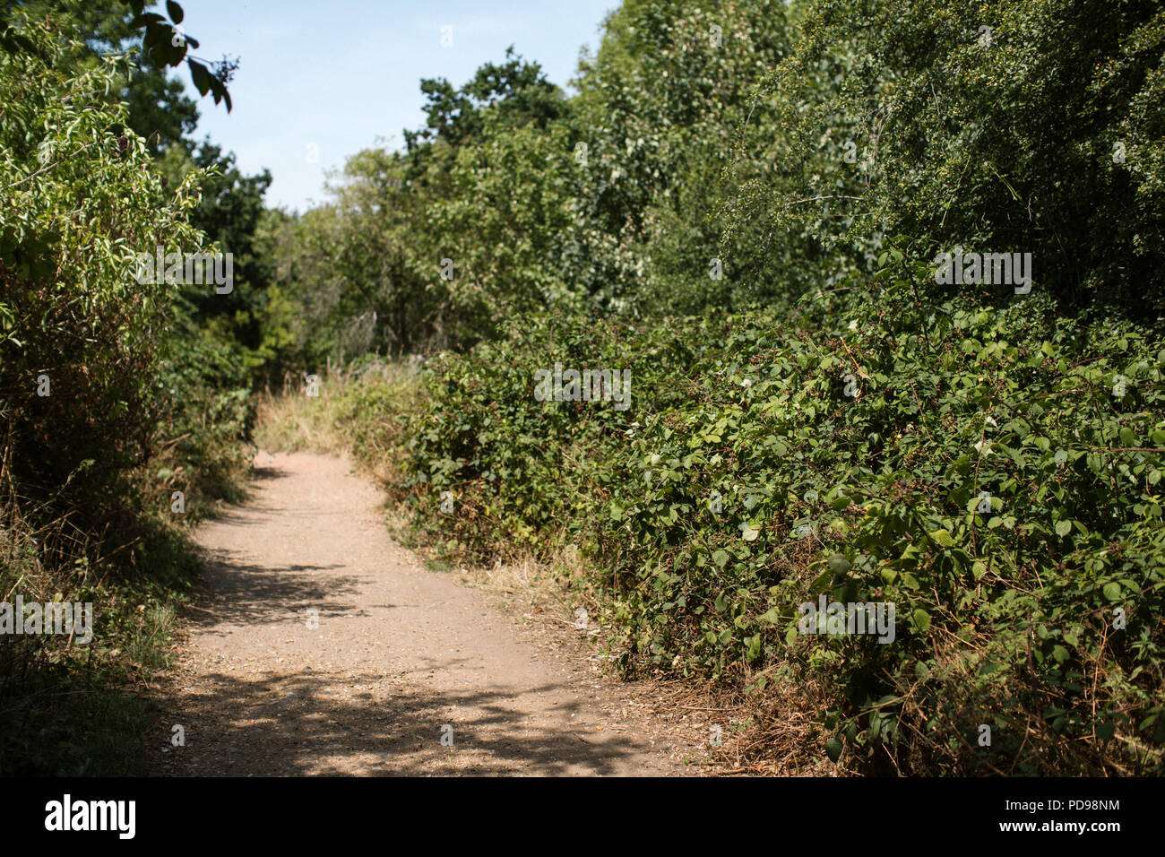 The Parkland Walk Is A Tree Lined Walk Along An Old Railway Line