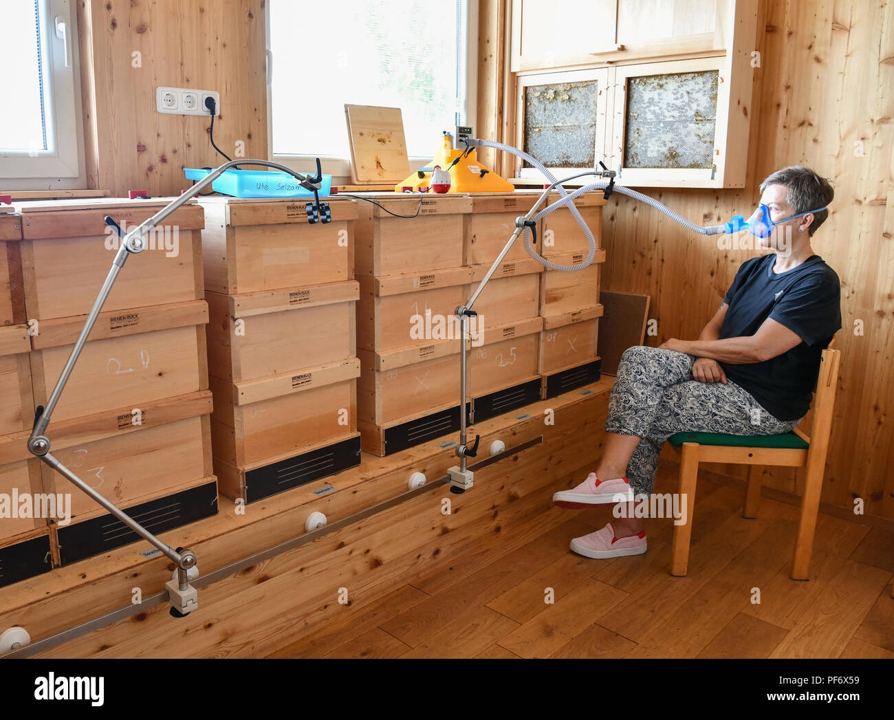 Первый Вибратор С Пчелами