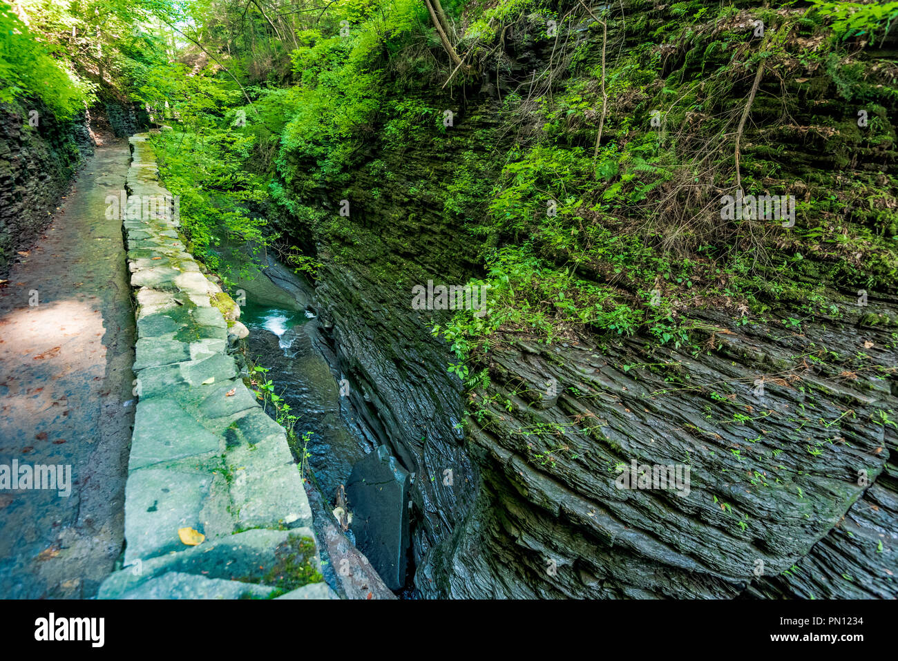 Watkins Glen State Park Gorge Trail Glen Cathedral Stock Photo Alamy