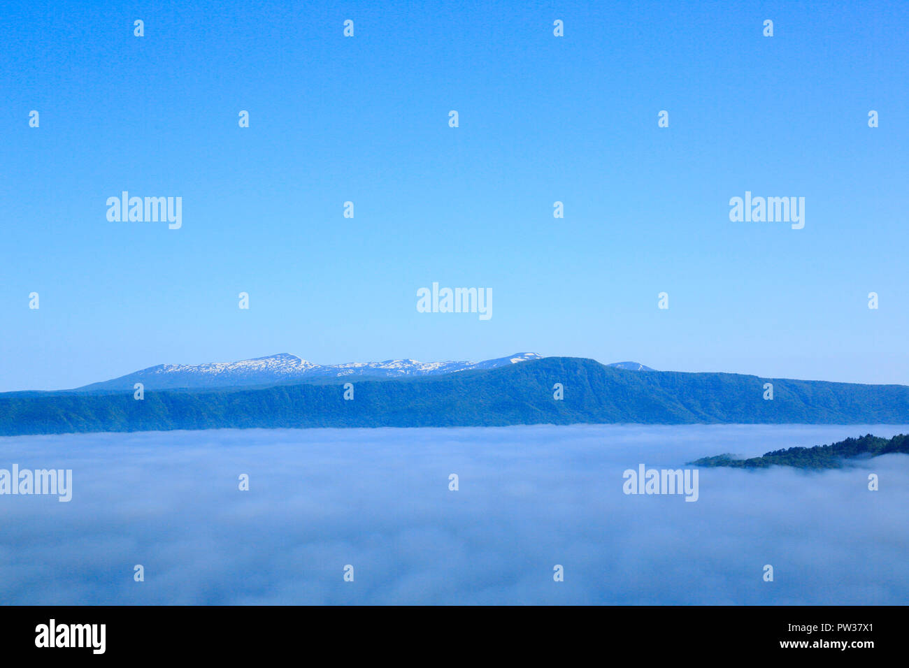 Fresh Green In Towada Lake Stock Photo Alamy