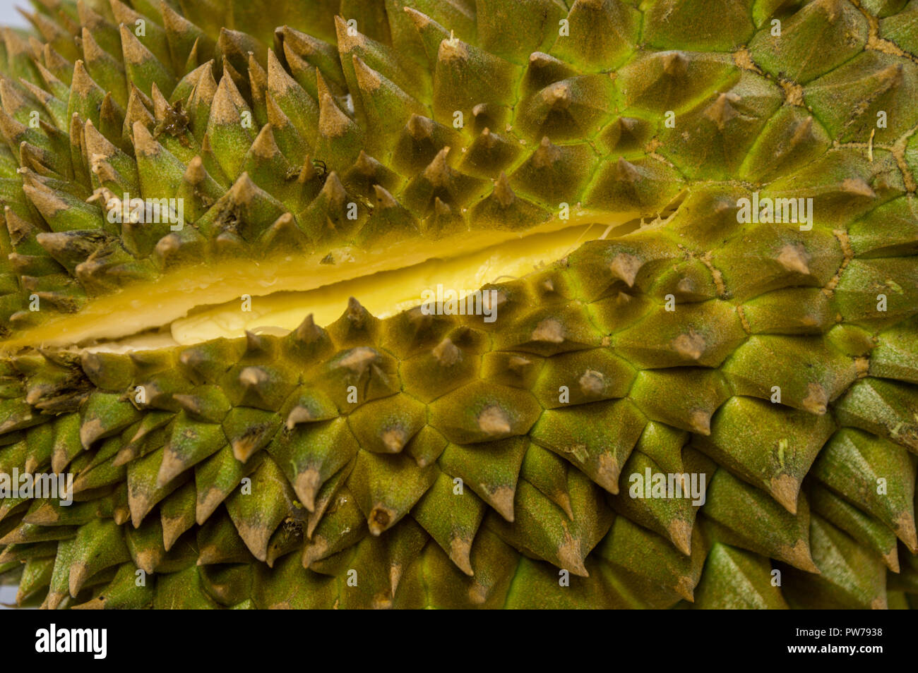 King Of Fruits Durian Stock Photo Alamy