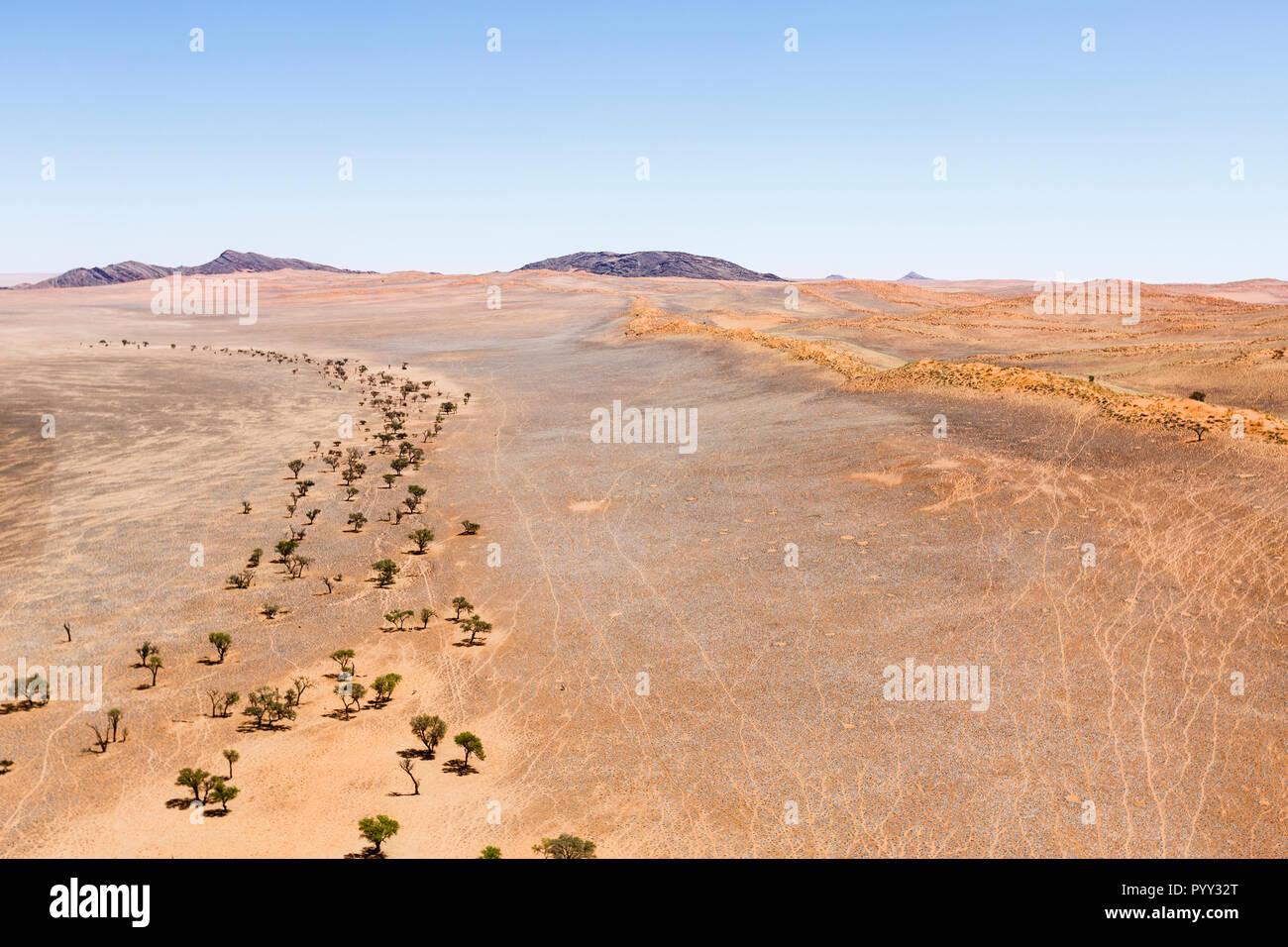 Aerial View Tree Line Along Dried Out Riverbed Foothills Of The Namib