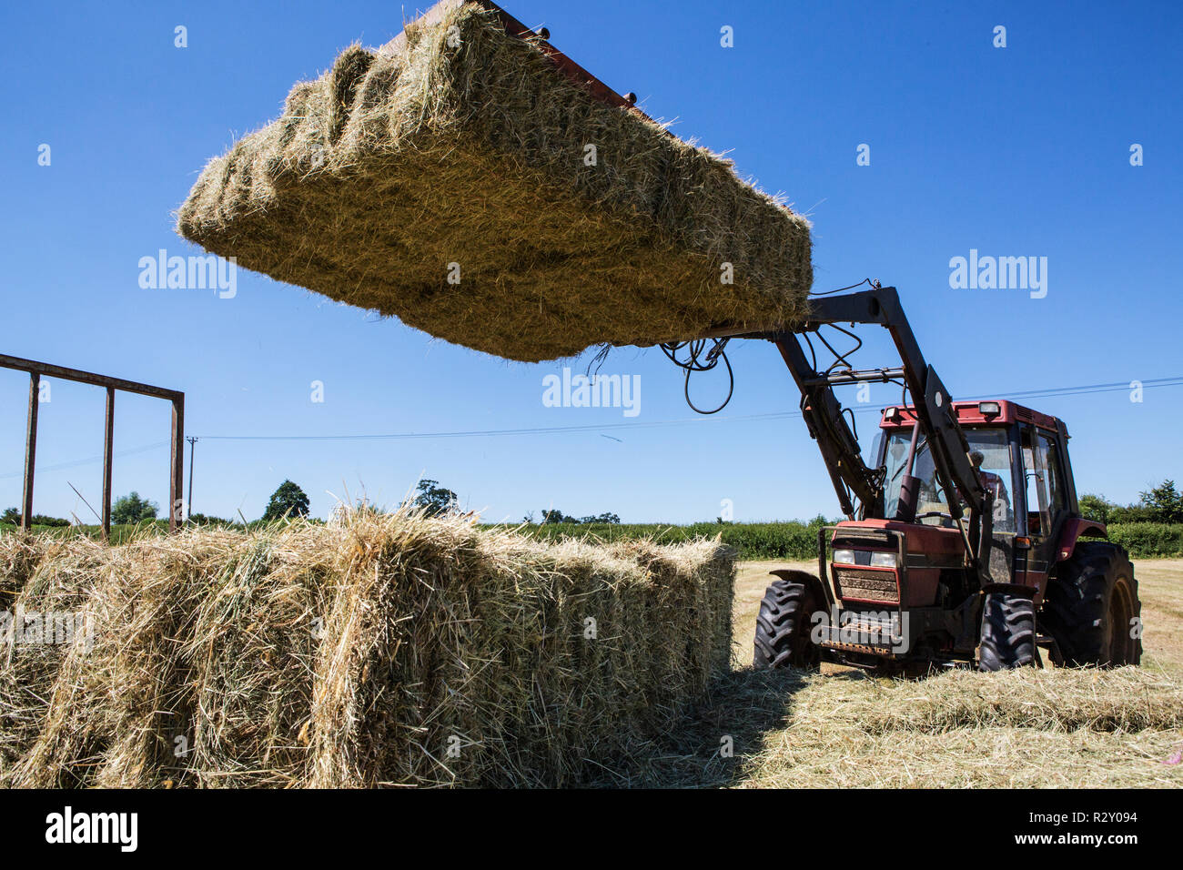 Tractor In A Field Loading Hay Bales Onto A Trailer Stock Photo Alamy