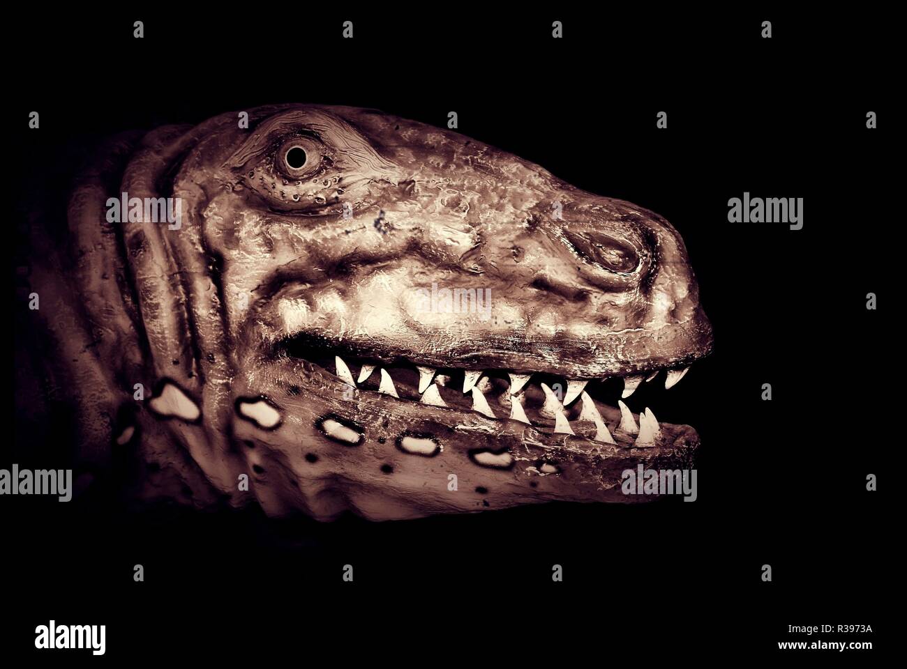 Trex Head Hi Res Stock Photography And Images Alamy