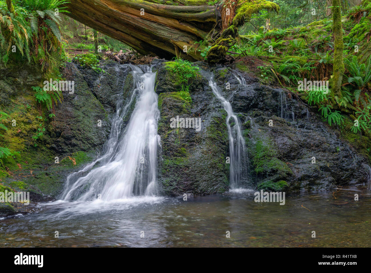 Usa Washington State San Juan Islands Orcas Island Moran State Park