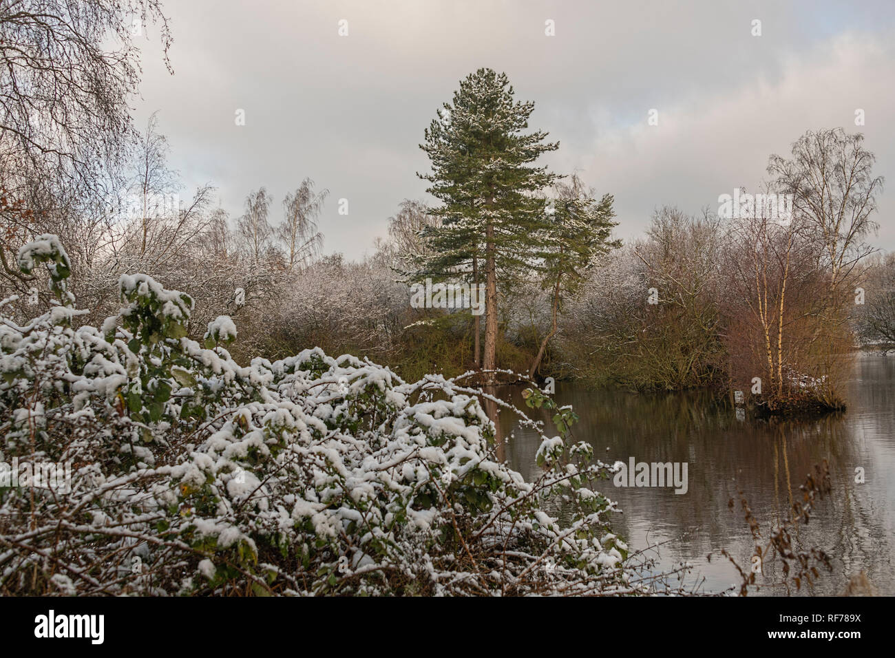 Frogmore Stock Photos Frogmore Stock Images Alamy Frogmore Stock Photos Frogmore Stock Images Alamy