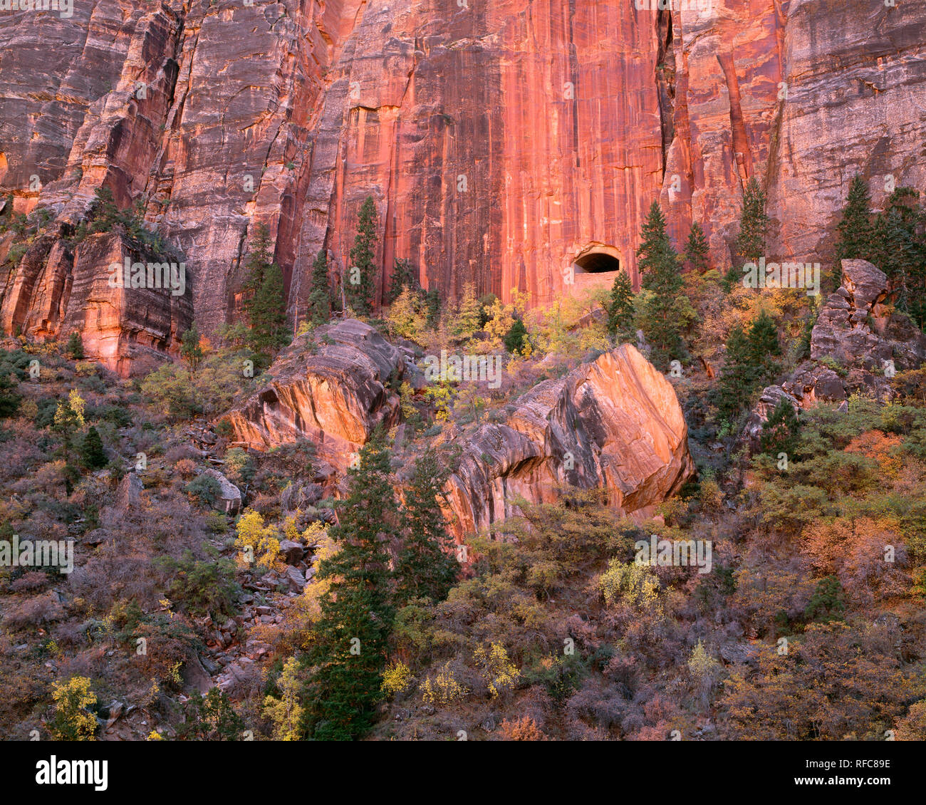 USA Utah Zion National Park View Of Windows In Sandstone Rock Which