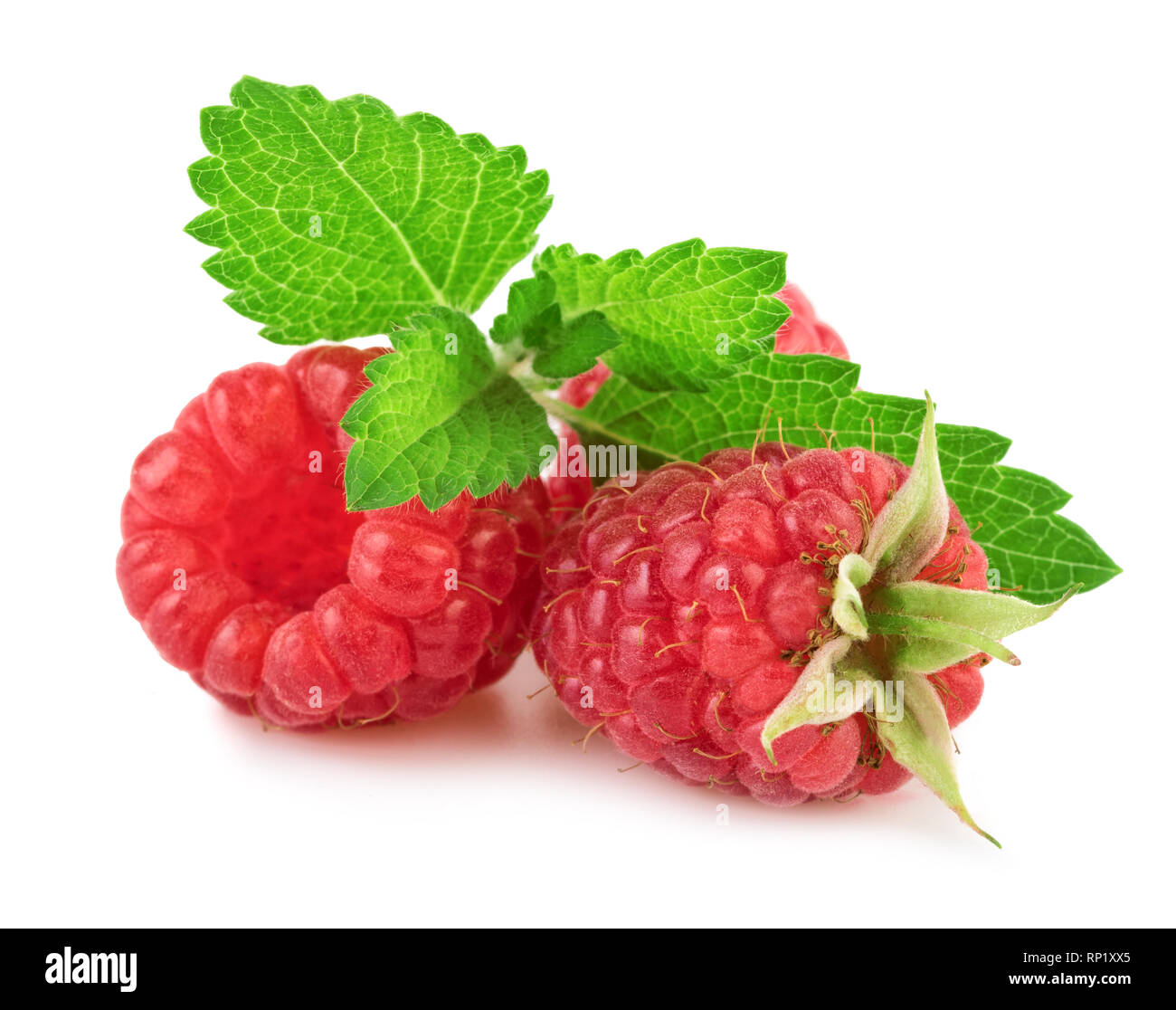 Fresh Raspberry With Mint Leaf Isolated On White Background In Closeup