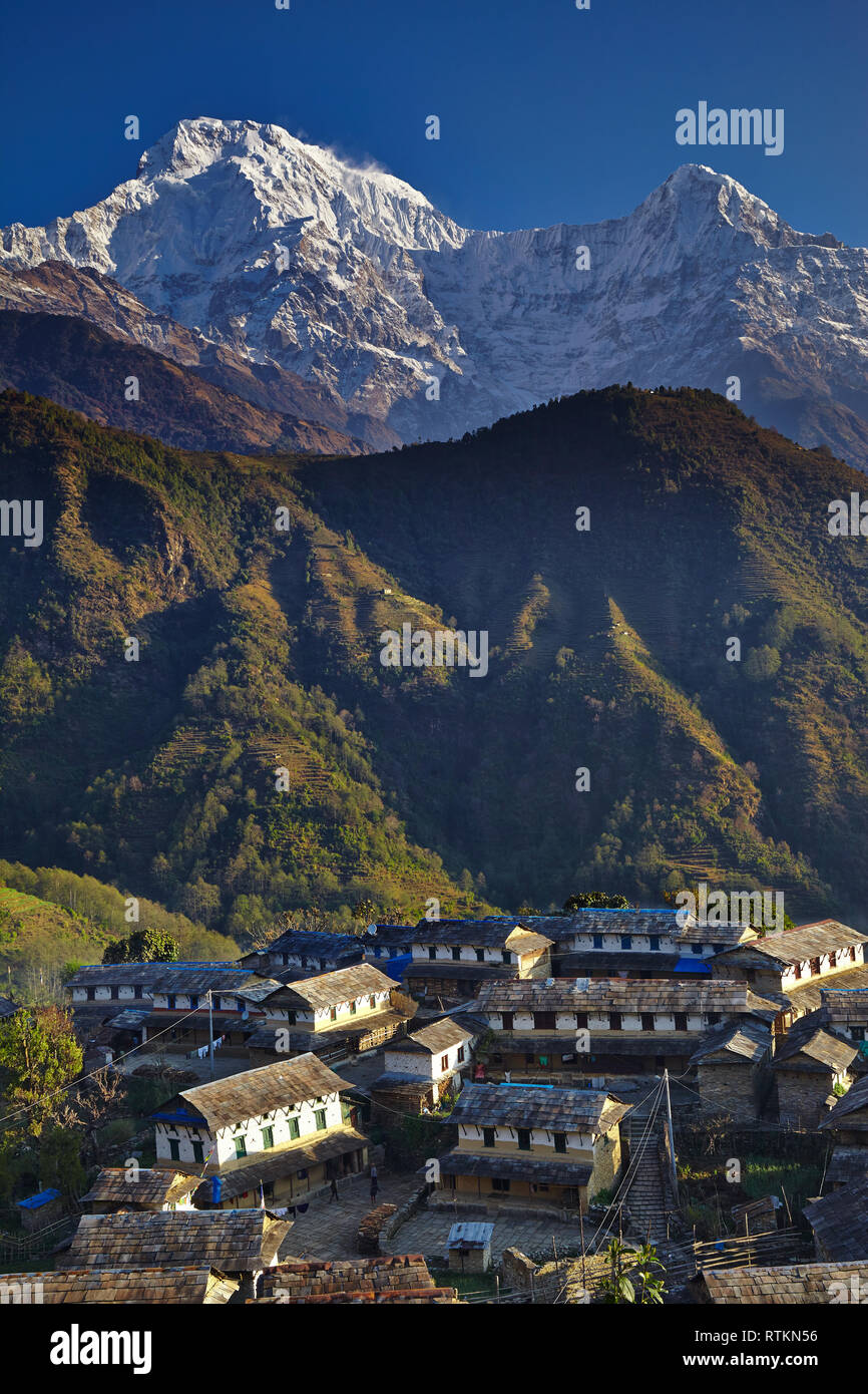 Ghandruk Village In The Annapurna Region Of Nepal Stock Photo Alamy