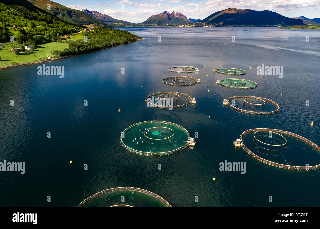 Salmon Farming Norway Hi Res Stock Photography And Images Alamy