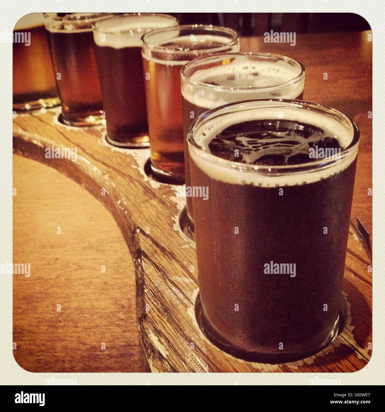 a-sampler-tray-of-beer-S00WE7.jpg