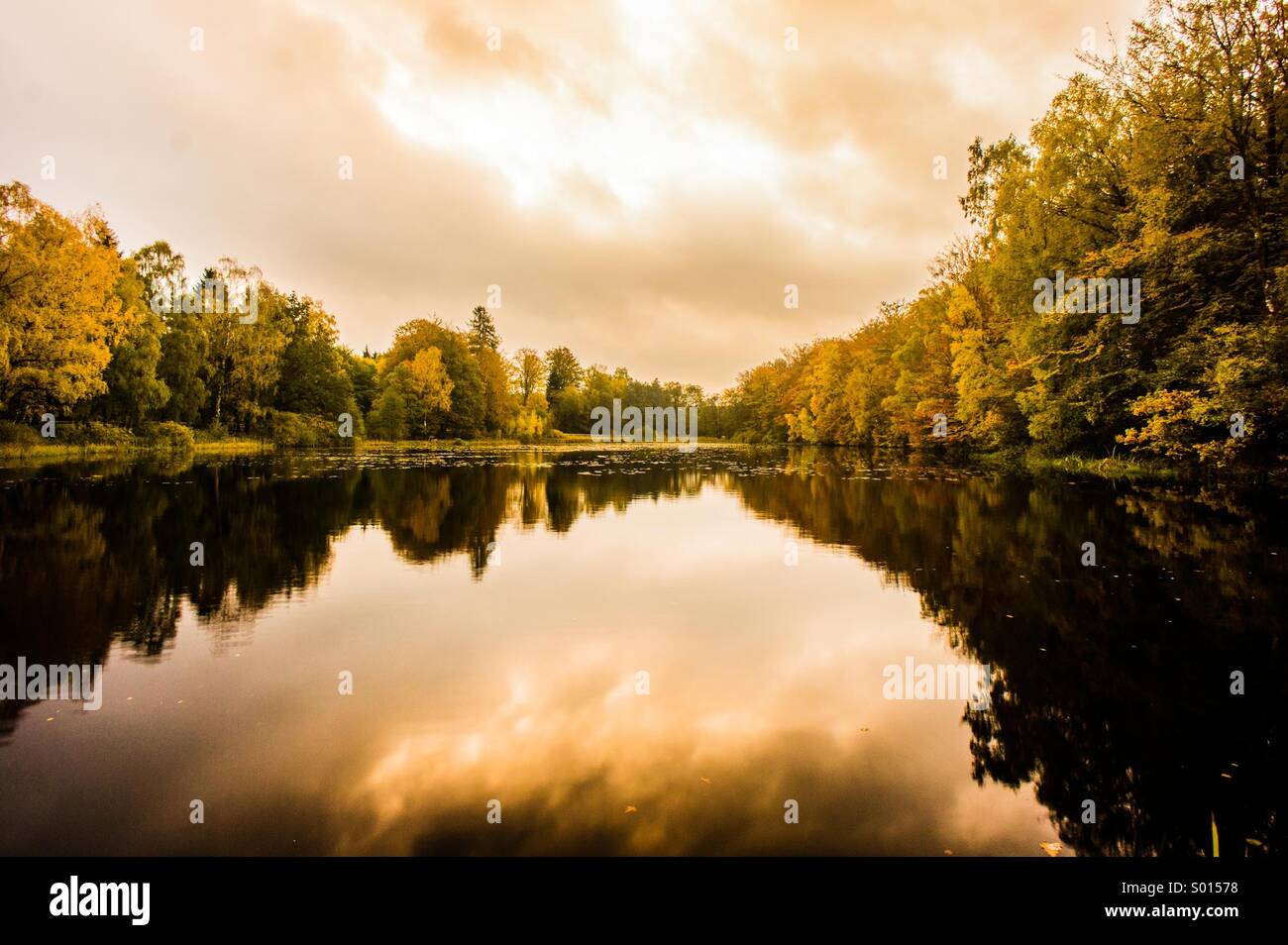 autumn-pond-S01578.jpg