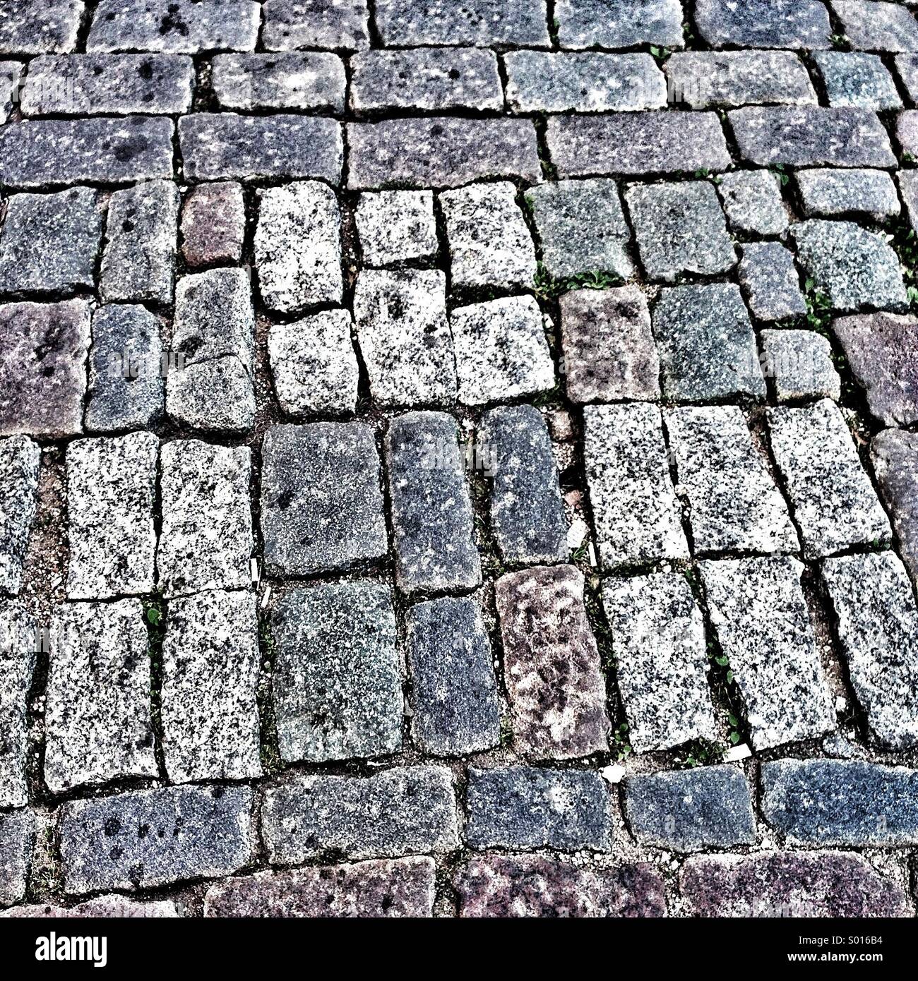 High-contrast-cobblestones-S016B4.jpg