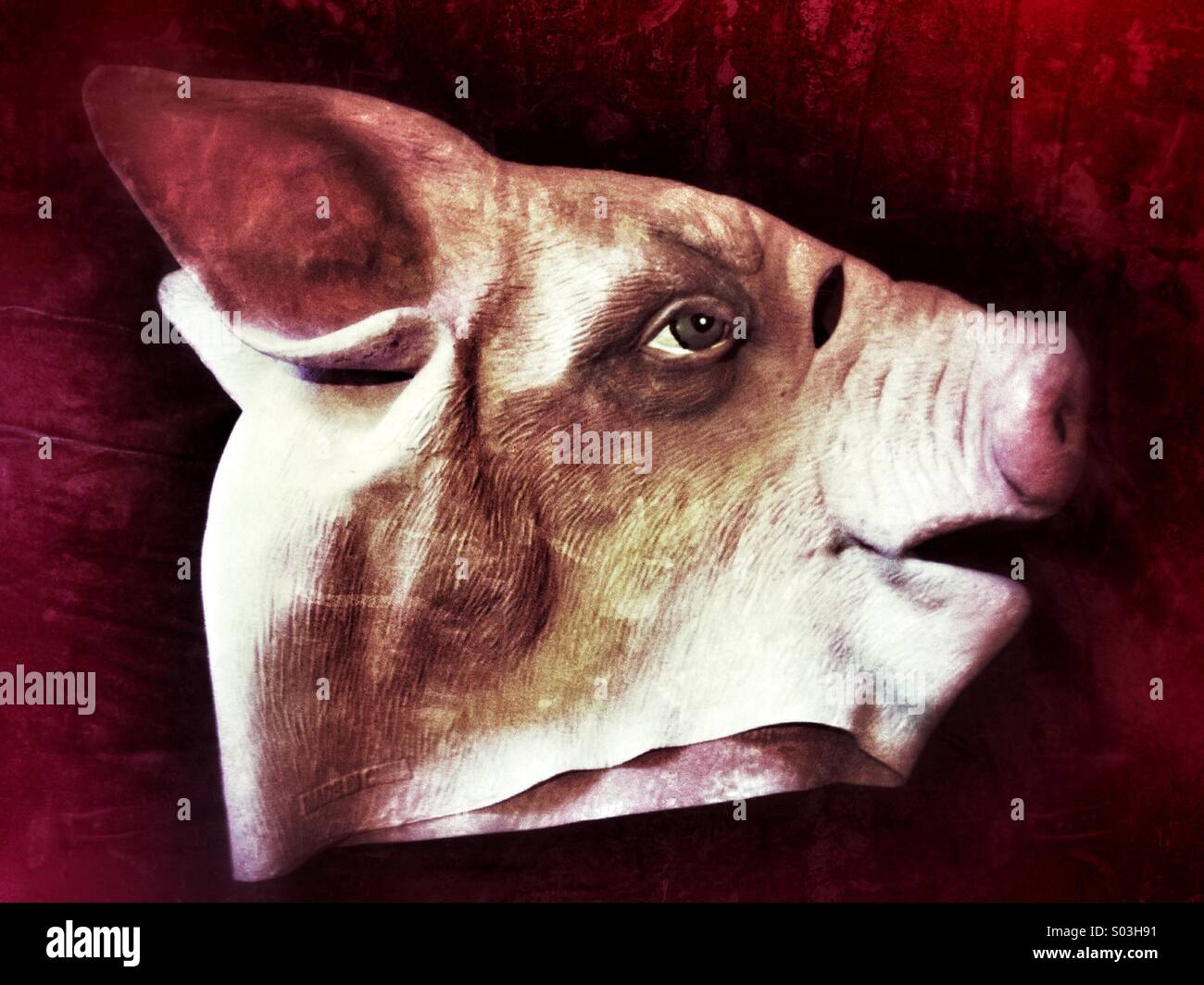 Pig Mask Hi Res Stock Photography And Images Alamy