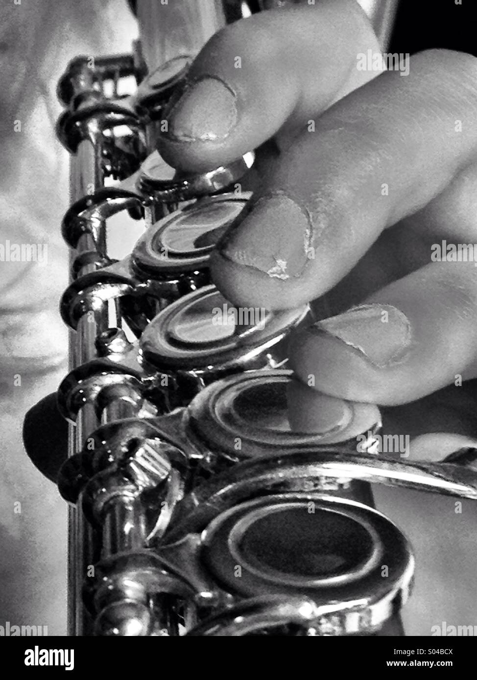 Flautist Stock Photo, Royalty Free Image 309883418 Alamy